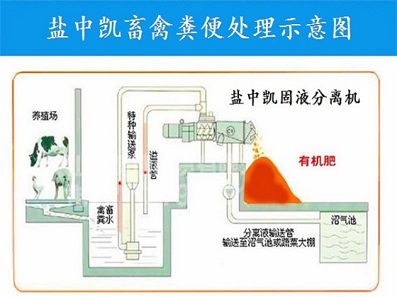 鸡粪色虎视频APP污机